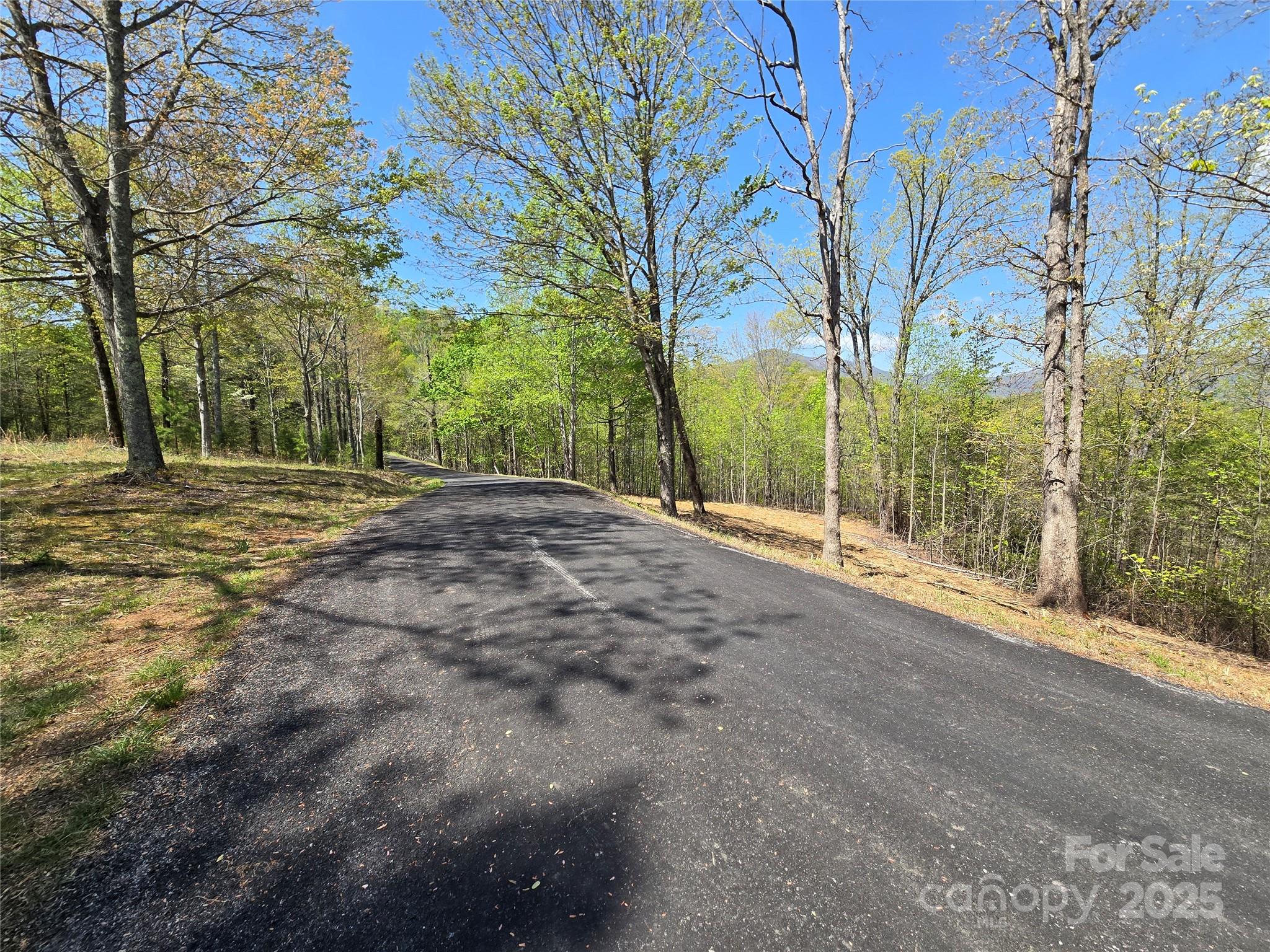 Lot 34 High Rock Ridge Lake Lure, NC 28746 - Photo 3 of 21 a view of a road with a wrought fence
