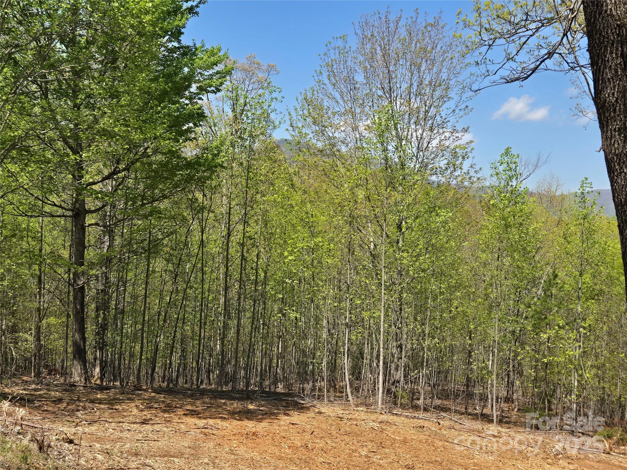 Lot 34 High Rock Ridge Lake Lure, NC 28746 - Photo 4 of 21 a view of a backyard of the house