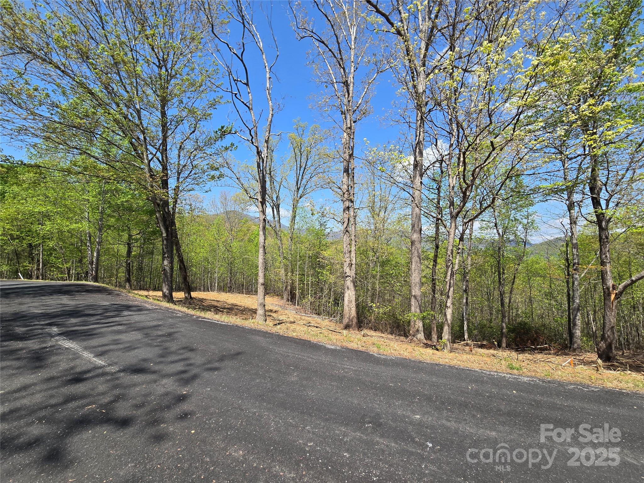 Lot 34 High Rock Ridge Lake Lure, NC 28746 - Photo 5 of 21 a view of a house with a snow in the yard