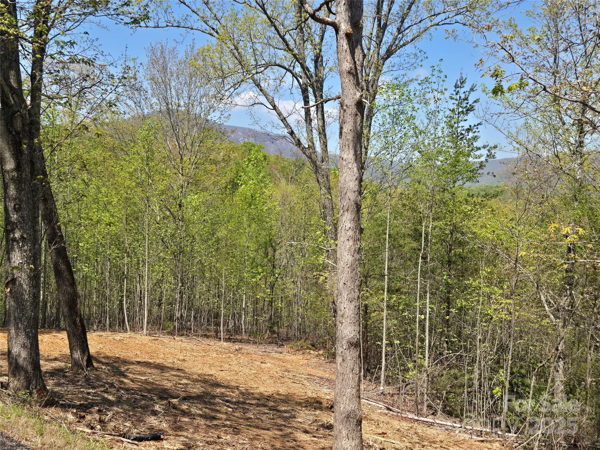 Lot 34 High Rock Ridge Lake Lure, NC 28746 - Photo 6 of 21 a view of a yard with trees
