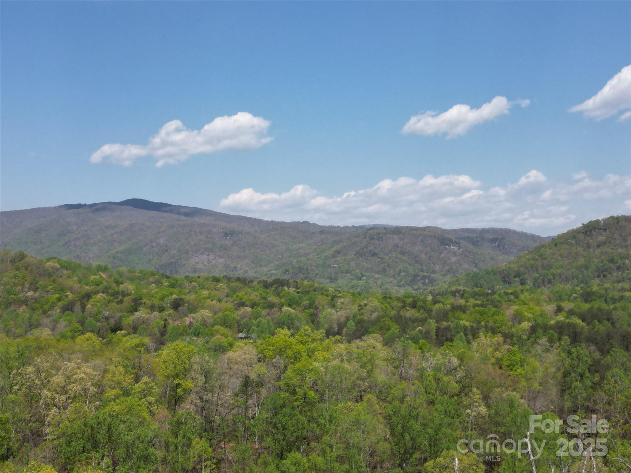 Lot 34 High Rock Ridge Lake Lure, NC 28746 - Photo 10 of 21 a sunset view