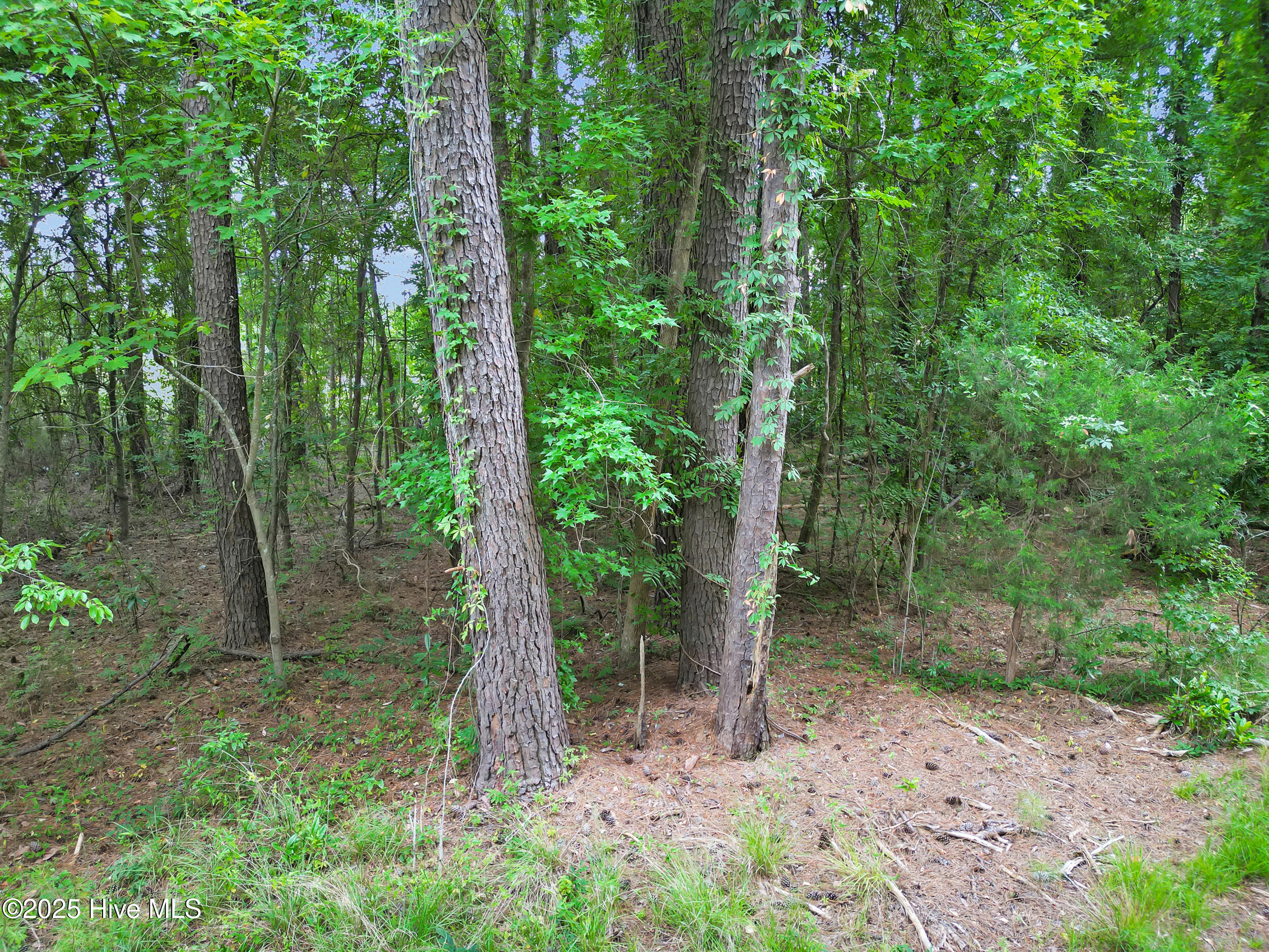 1 Florence Road Merritt, NC 28556 - Photo 12 of 15 13_11