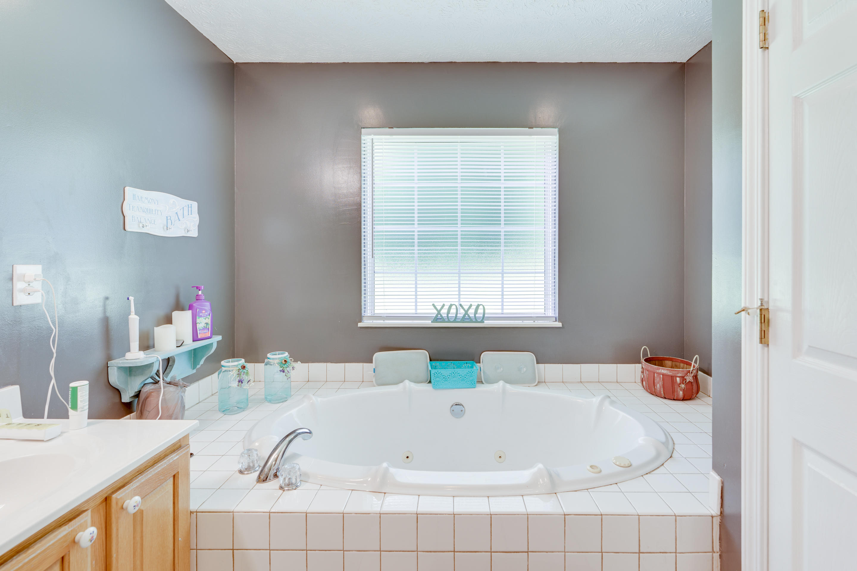 714 Derrick Road Dandridge, TN 37725 - Photo 14 of 26 10 - master bed bath tub