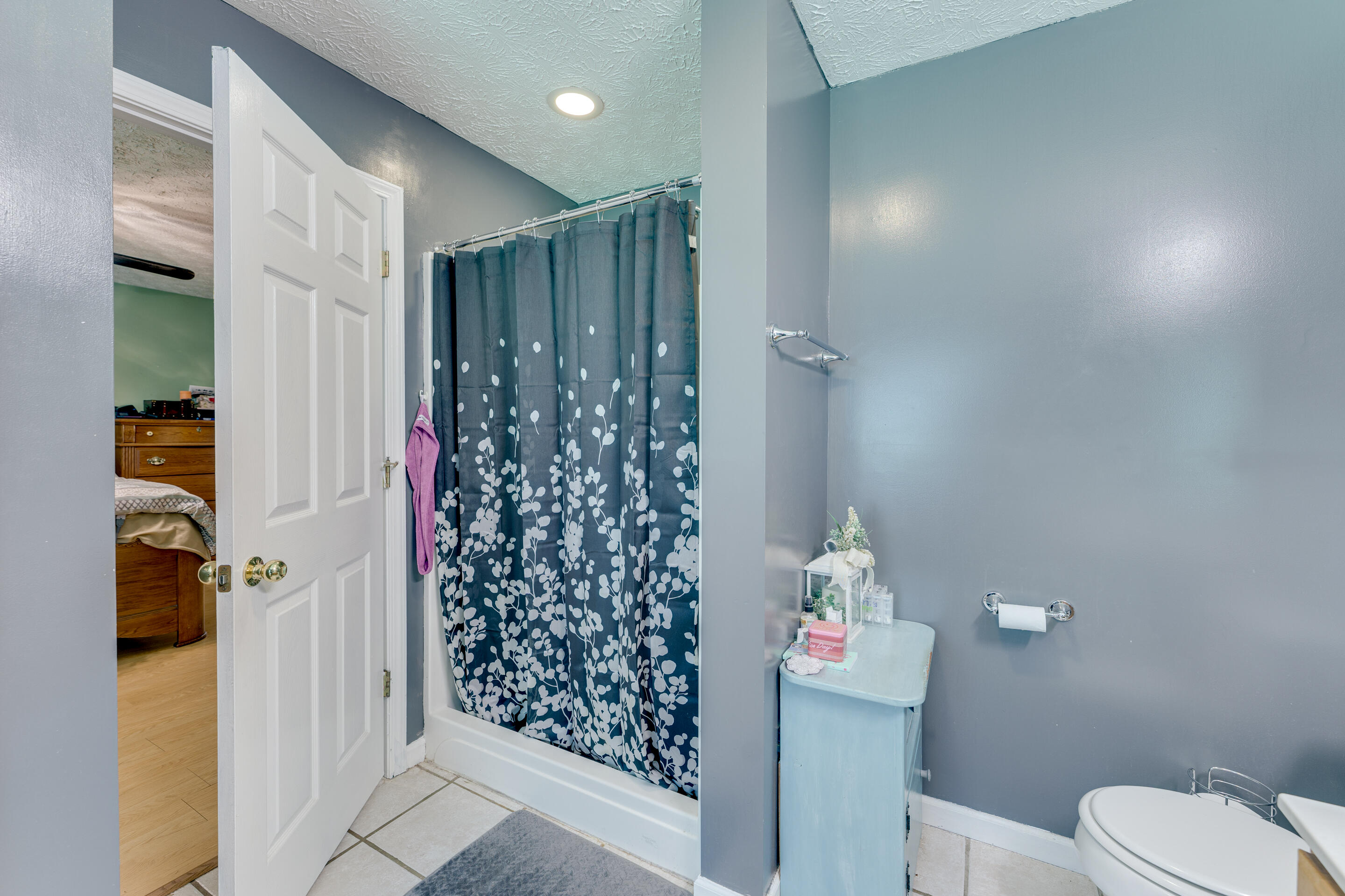 714 Derrick Road Dandridge, TN 37725 - Photo 15 of 26 11 - master bed bbath 2