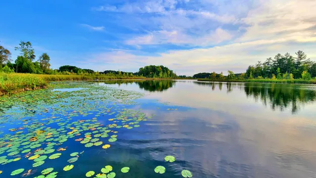 $750,000 | 491 Bitter Crk Lane, Pierson, MI 49339