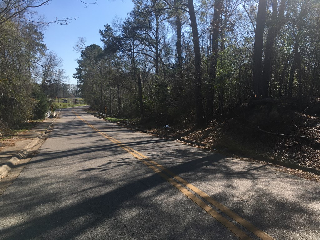 0 Rocky Branch Road Dothan, AL 36303 - Photo 3 of 7