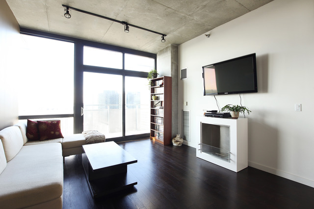 235 West Van Buren Street, Unit 2613 Chicago, IL 60607 - Photo 6 of 20