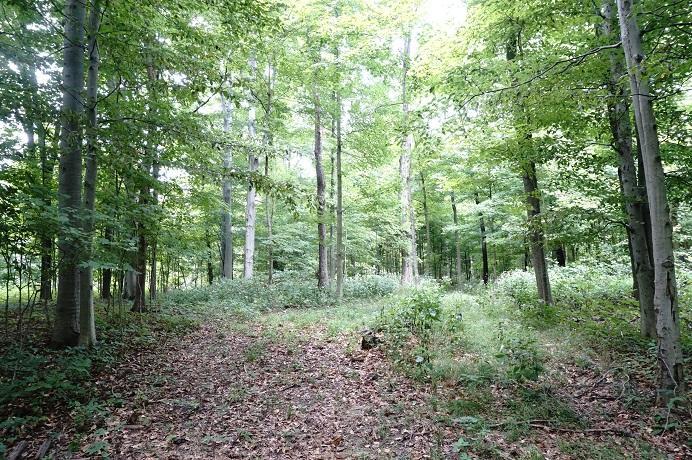 0 Mounts Road Northwest Alexandria, OH 43001 - Photo 2 of 6