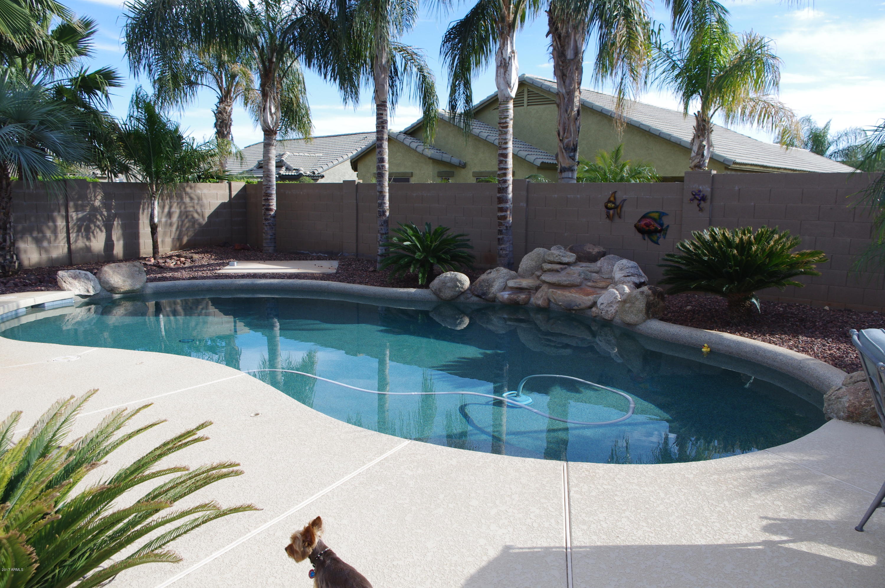 17577 West Spring Lane Surprise, AZ 85388 - Photo 4 of 24 IMGP2608