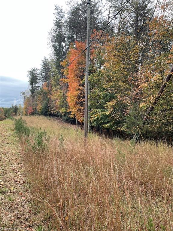 0 Rocky Point Road Wilkesboro, NC 28697 - Photo 3 of 5