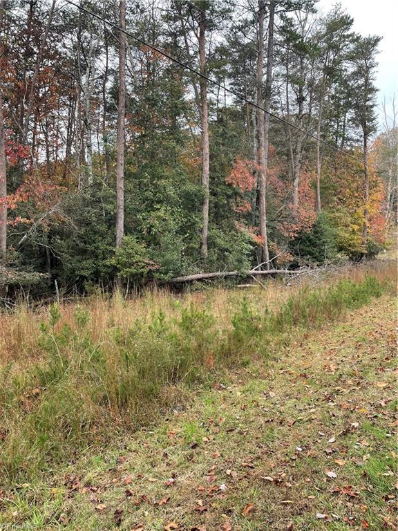 0 Rocky Point Road Wilkesboro, NC 28697 - Photo 4 of 5