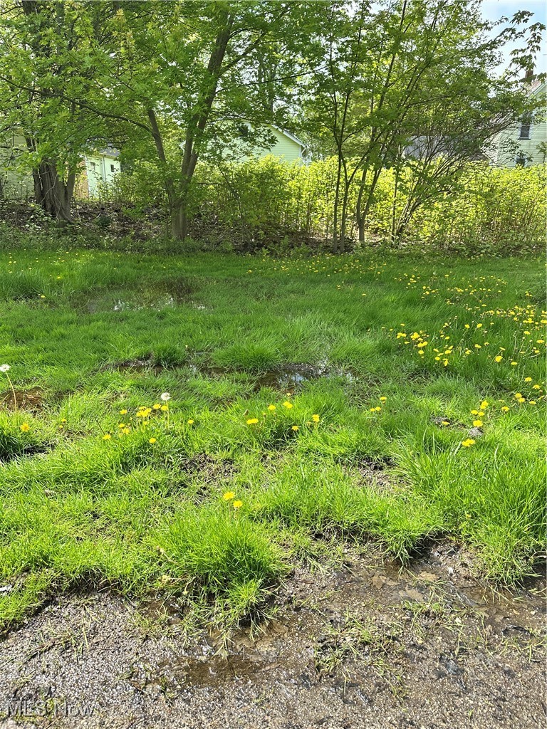 6144 Jefferson Road Ashtabula, OH 44004 - Photo 20 of 30 View of yard