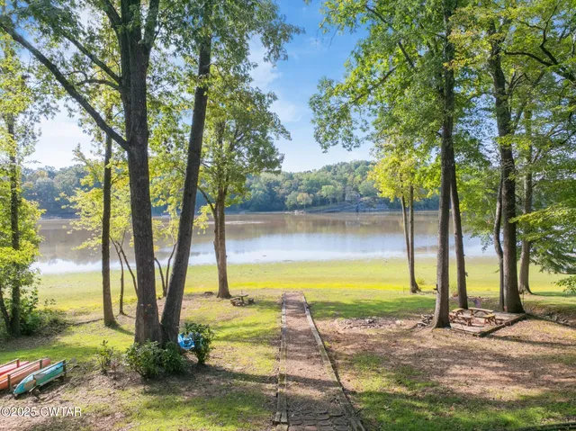 a view of a lake with a large trees