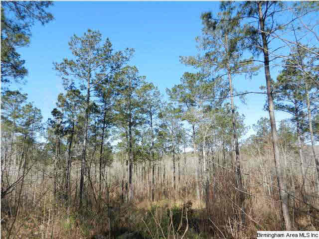 Creek Road, Unit 150AC Alexander City, AL 35010 - Photo 2 of 3