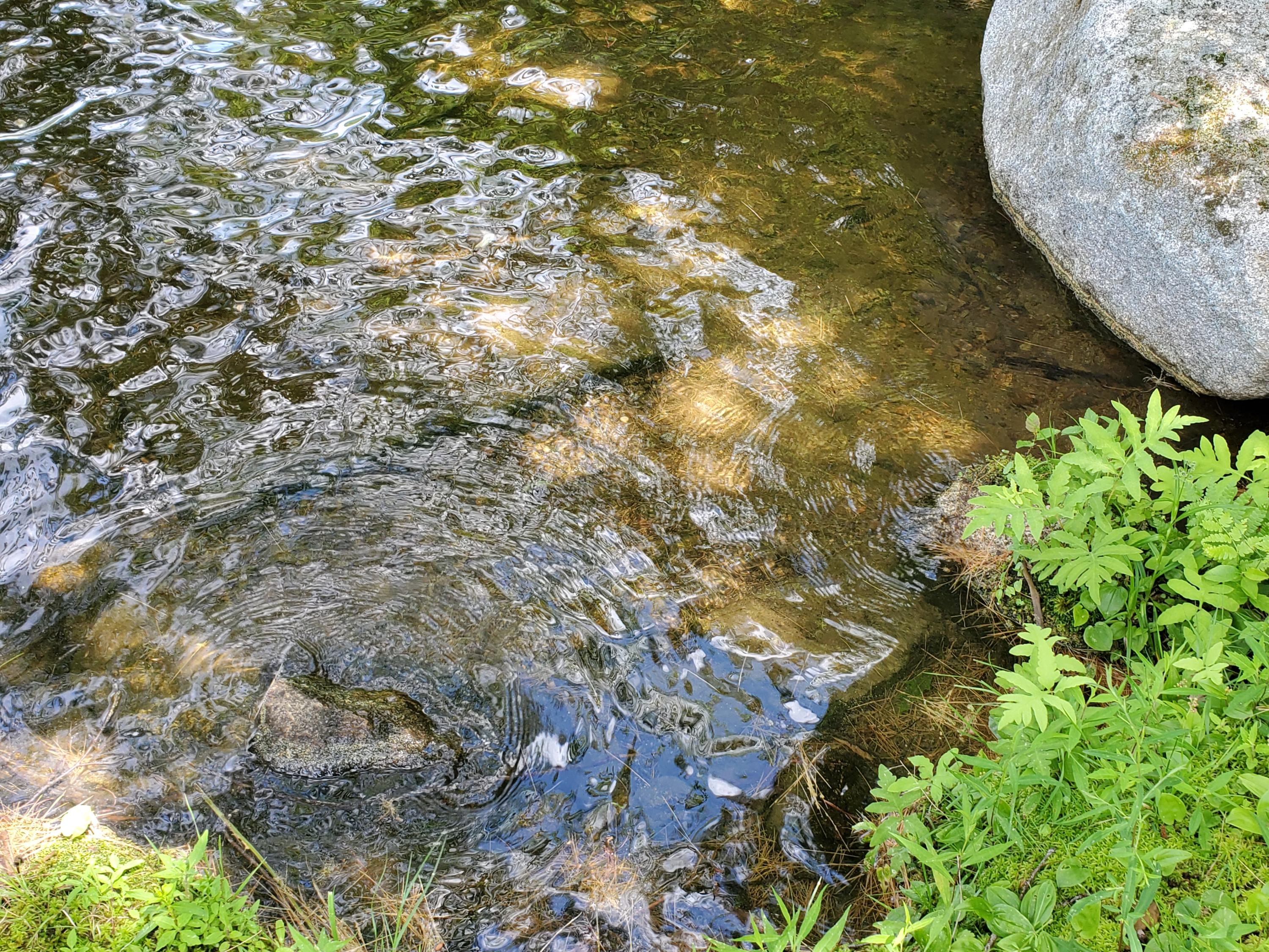 451 Waterford Road Norway, ME 04268 - Photo 25 of 28 waters edge 3