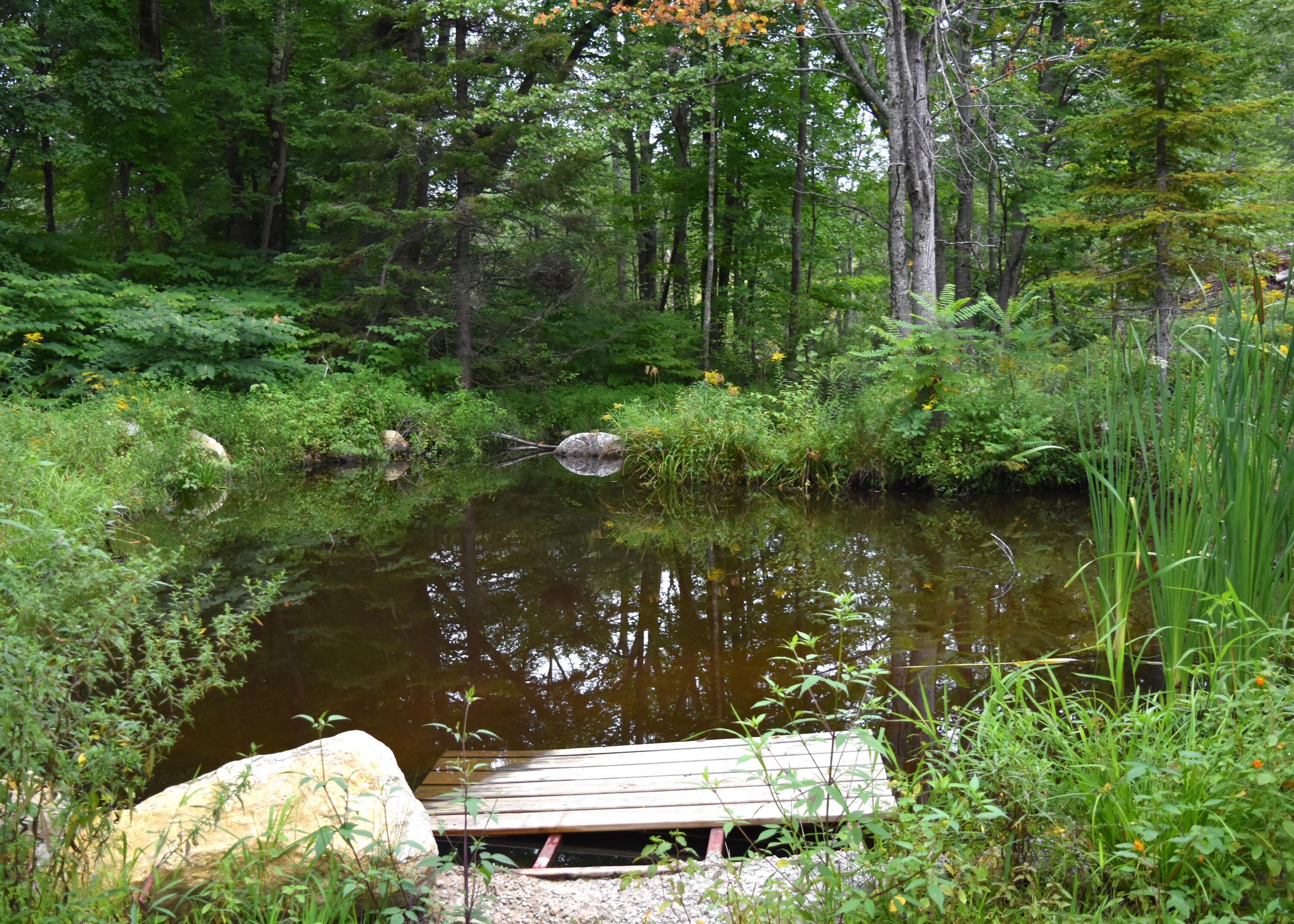602 Water Street West Newfield, ME 04095 - Photo 18 of 26 Pond