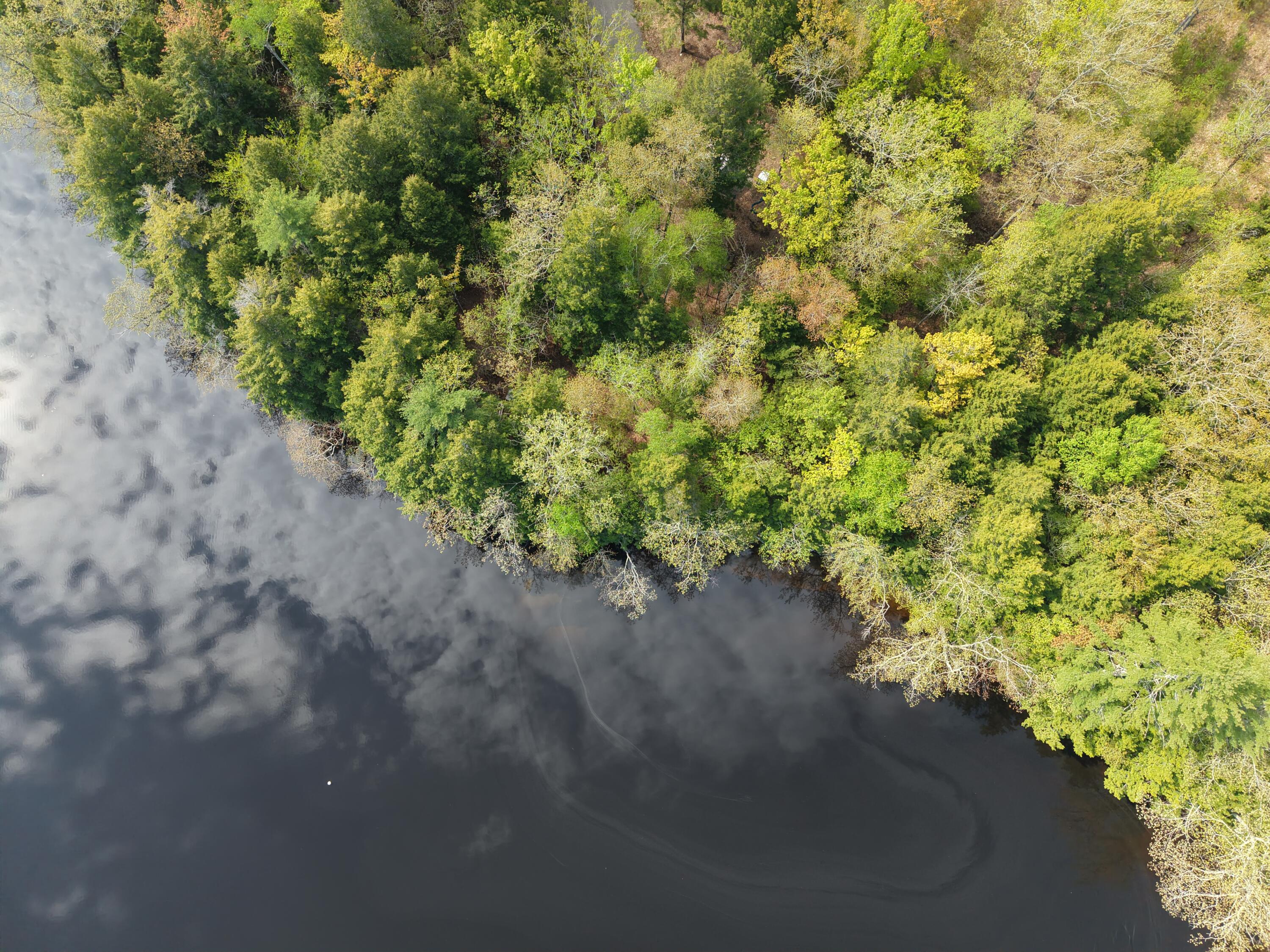 148 Niilo Hill Road Warren, ME 04864 - Photo 7 of 15 DJI_20260519094050_0399_D