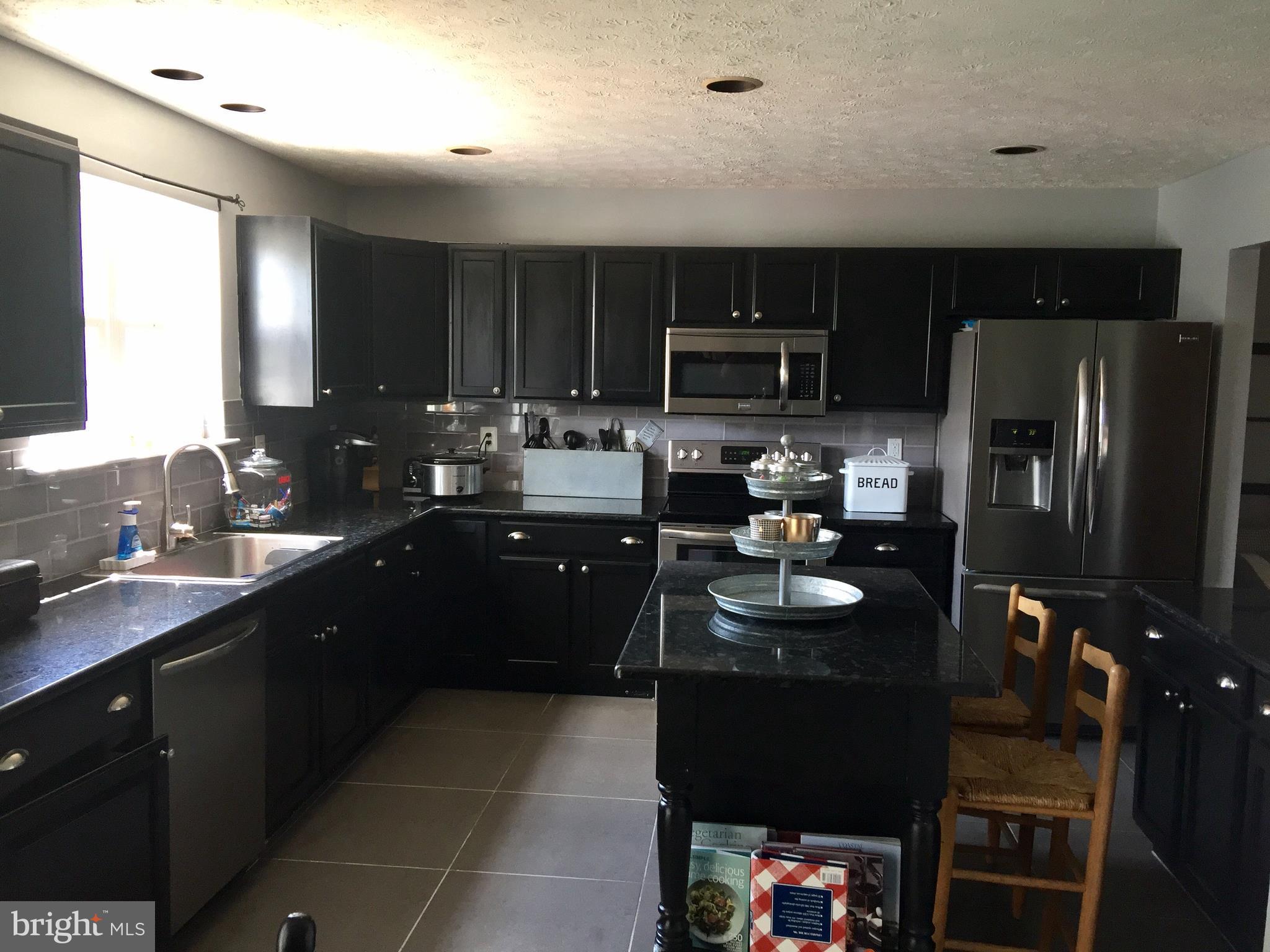 205 Maple Leaf Drive Rising Sun, MD 21911 - Photo 3 of 20 Kitchen