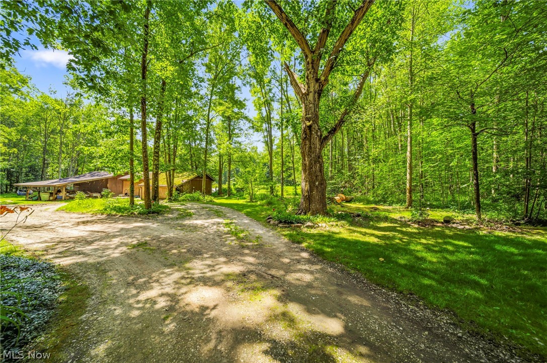 4370 Murphy Road Rome, OH 44085 - Photo 27 of 50 Gallery Image 27