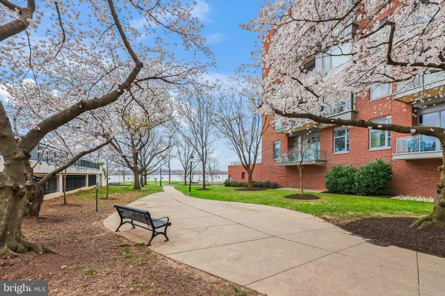 a park bench sitting in the middle of a yard