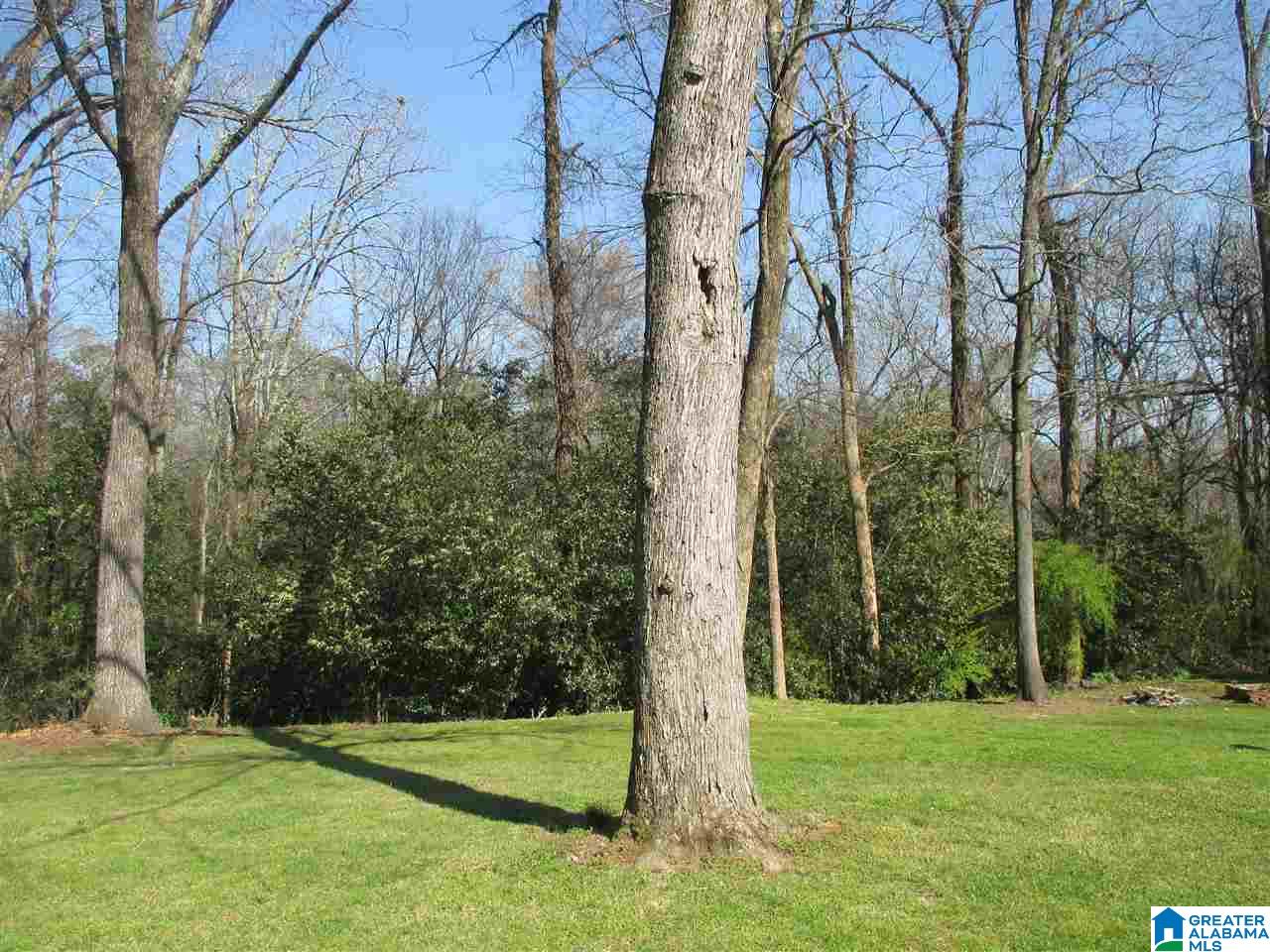 2613 Red Oak Road Gadsden, AL 35904 - Photo 48 of 48
