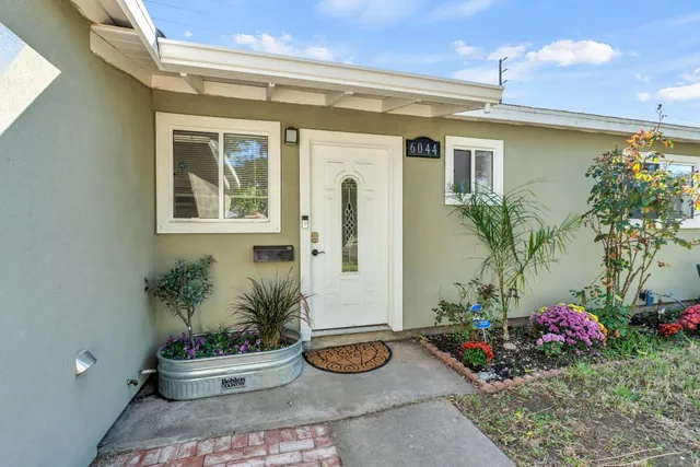 a potted plant sitting in front of a house