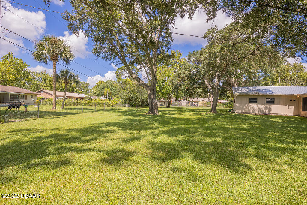 355 Tulip Tree Lane Ormond Beach, FL 32174 - Photo 39 of 40 003A0844