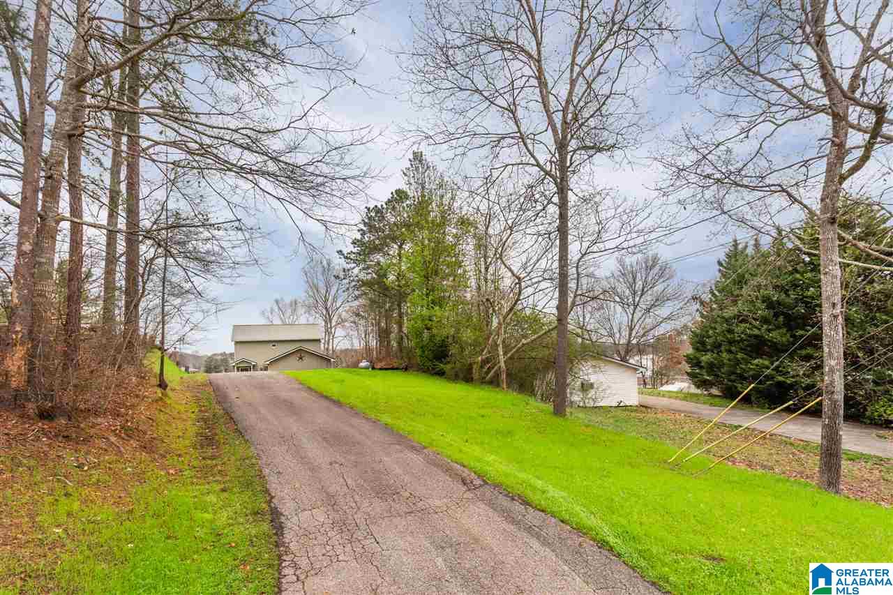 166 Mohawk Trail Ohatchee, AL 36271 - Photo 43 of 46