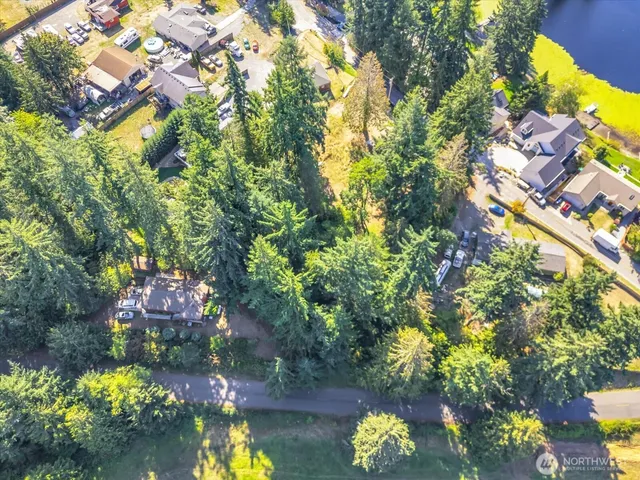 a picture of flowers