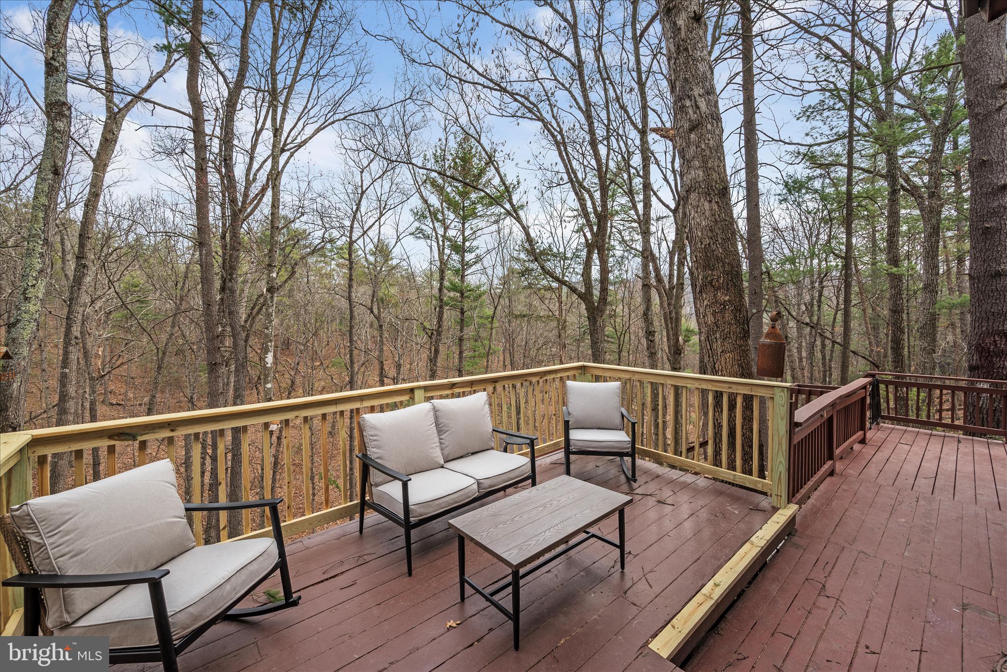 116 Palmer Road Basye, VA 22810 - Photo 25 of 30 2 levels of deck