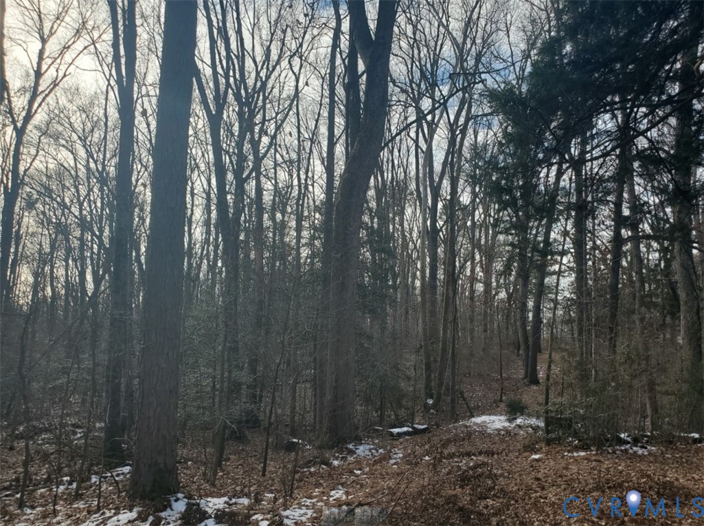 12701 Kain Road Glen Allen, VA 23059 - Photo 2 of 2