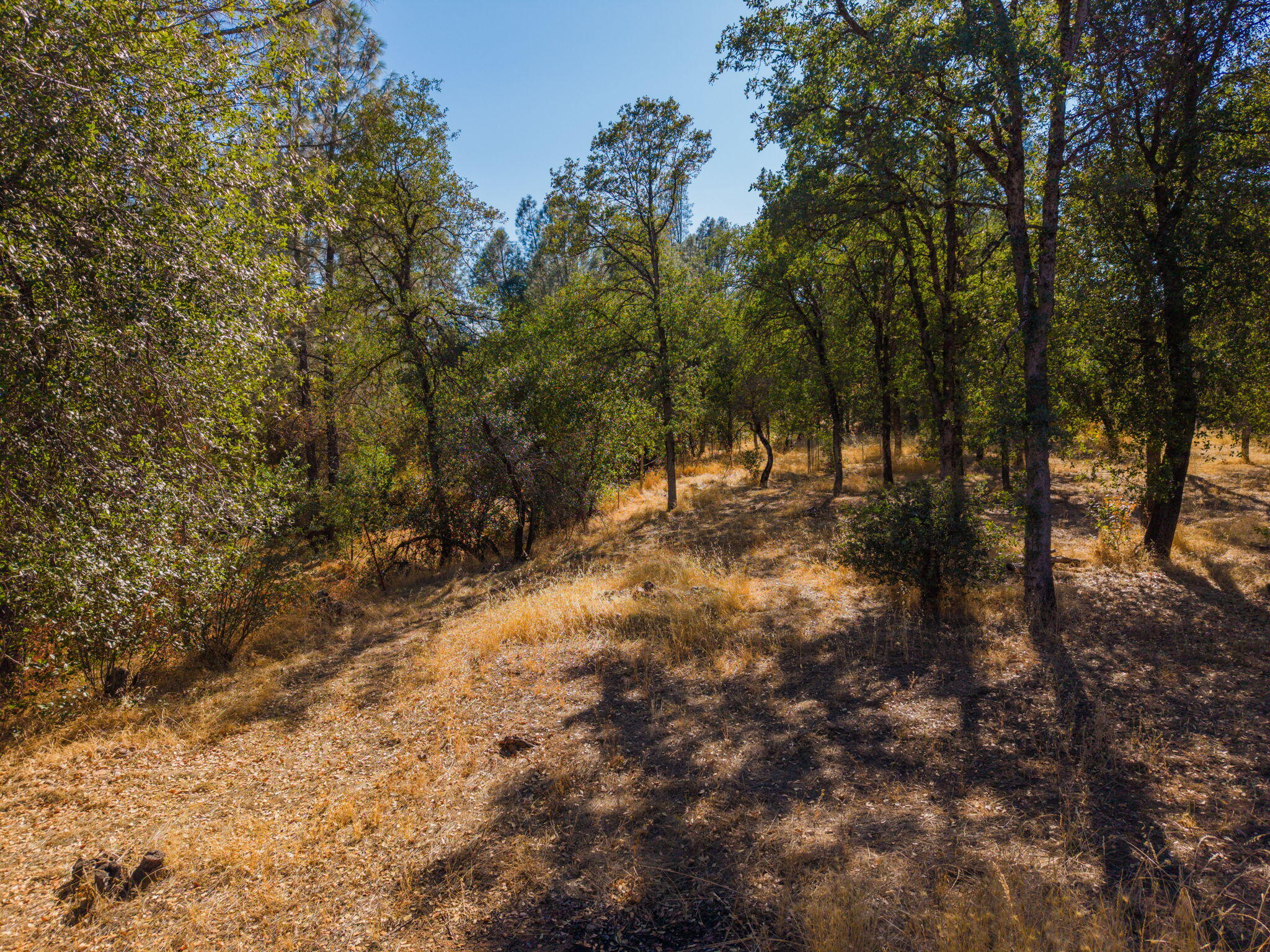 5020 Smokey Road Anderson, CA 96007 - Photo 28 of 40 30-web-or-mls-IMG-30