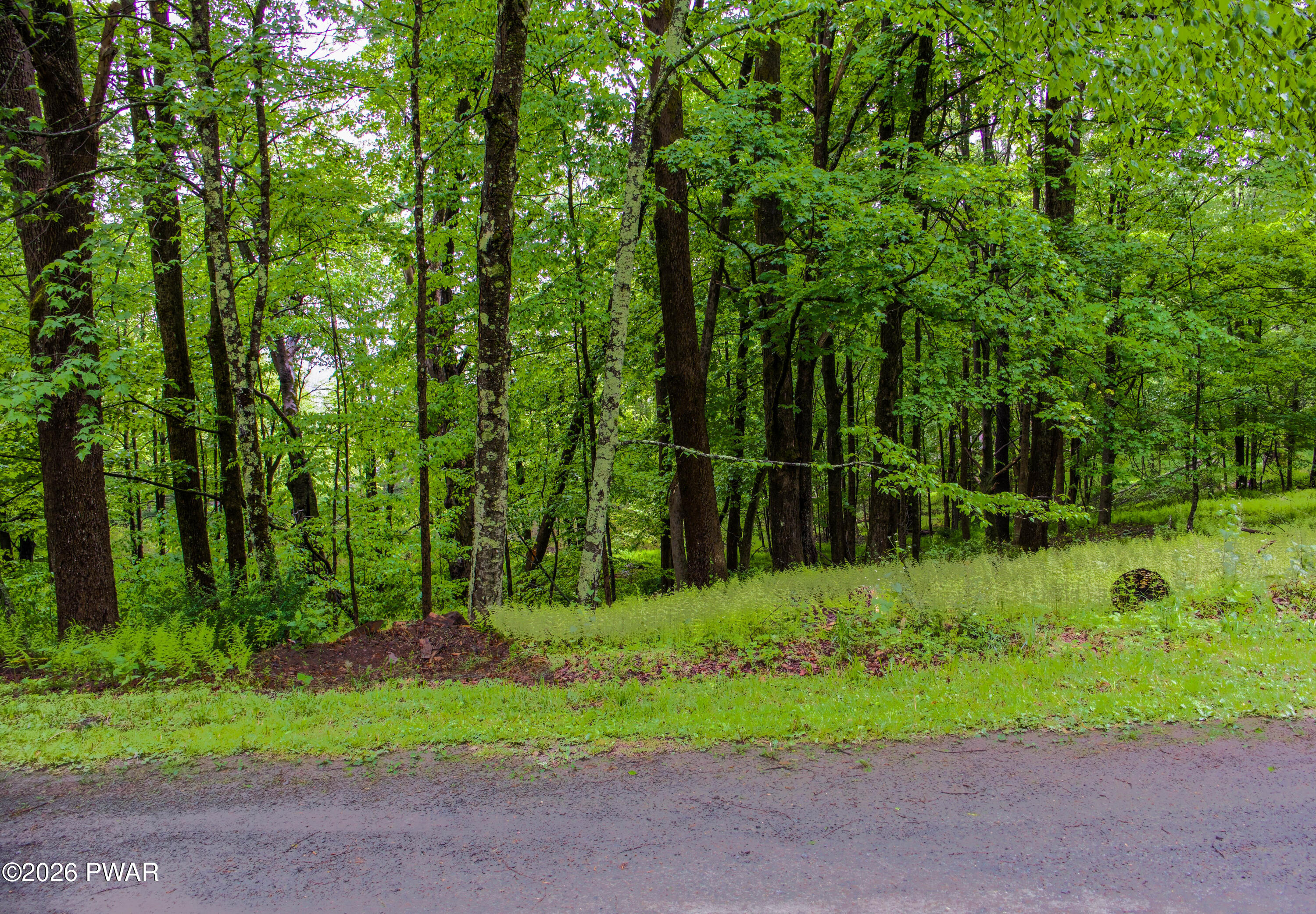 52 Stonefence Road Damascus, PA 18415 - Photo 12 of 14