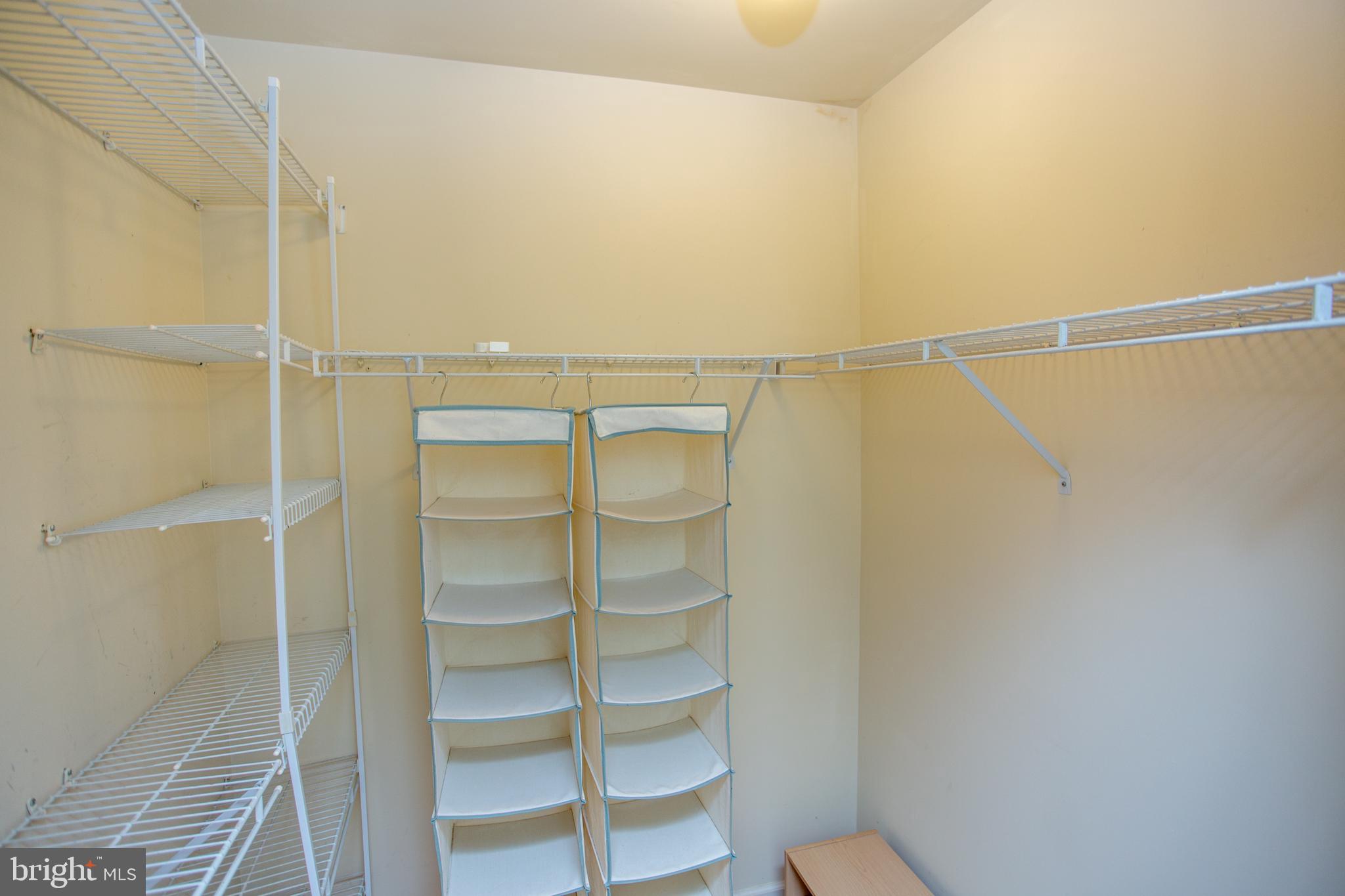 363 Birdsong Way Doylestown, PA 18901 - Photo 19 of 58 1st walk in closet in primary