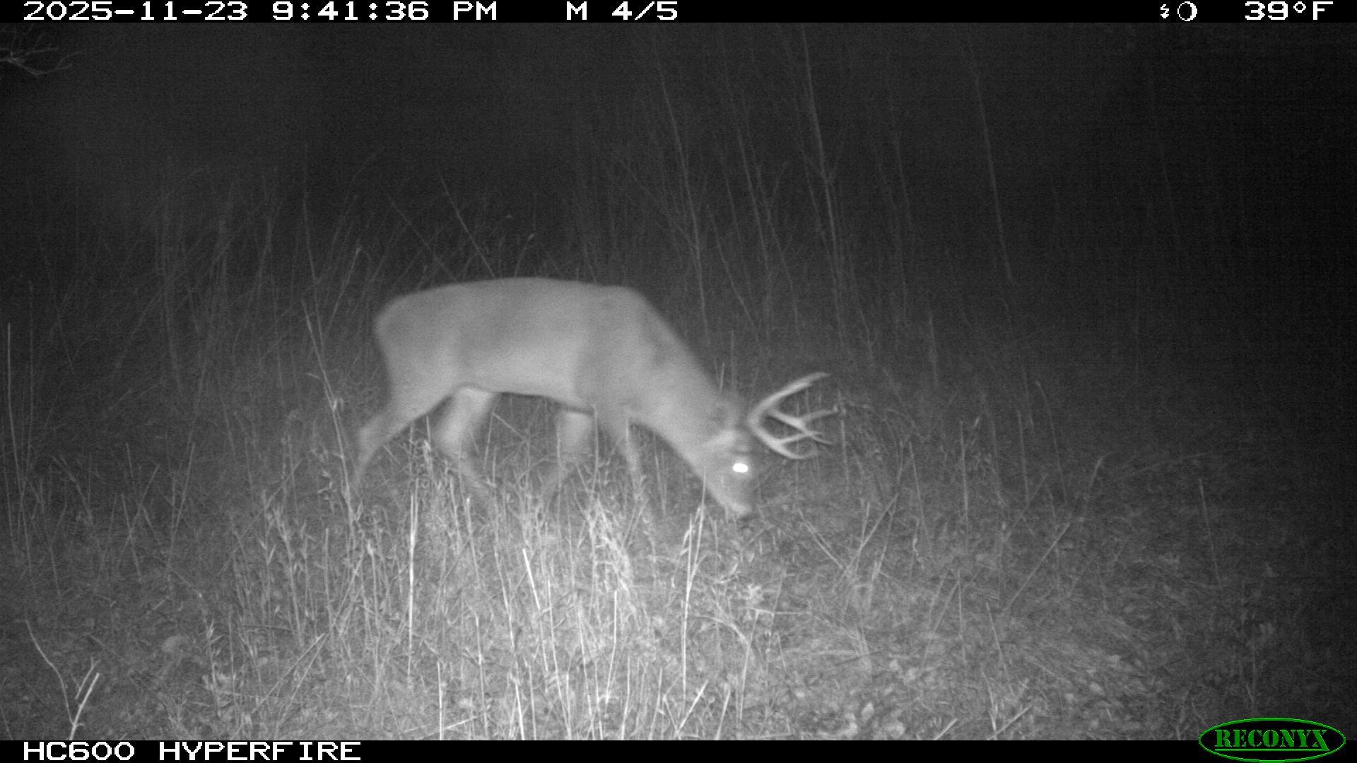 Tbd 96th Street Southwest Motley, MN 56466 - Photo 53 of 80 Gallery Image 53