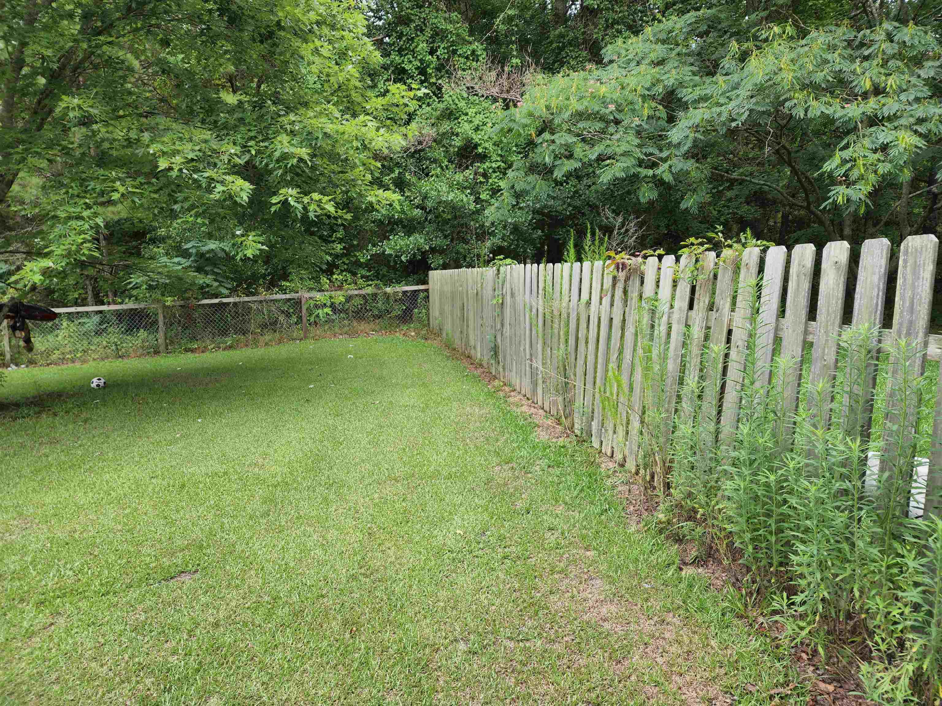 342 South Pleasant Coates Road Benson, NC 27504 - Photo 58 of 62 Photo 58
