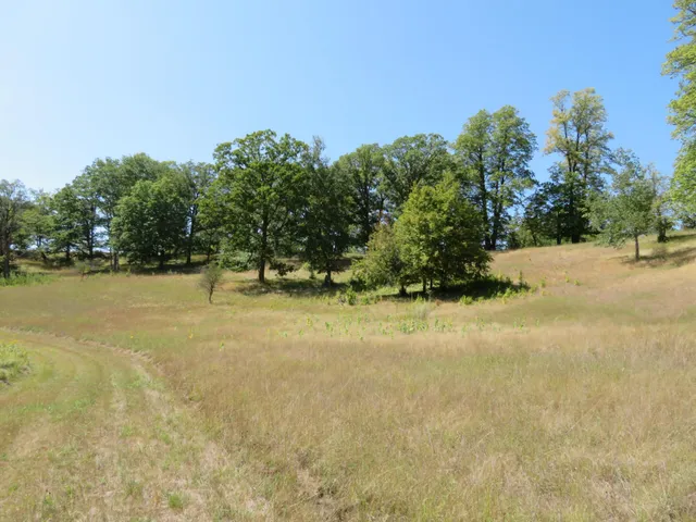 $1,145,000 | 49954 209th Avenue, Clearbrook, MN 56634