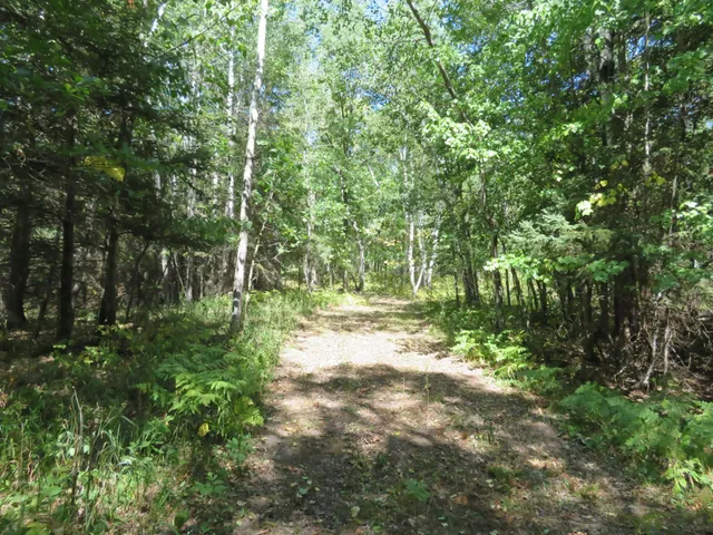 $1,145,000 | 49954 209th Avenue, Clearbrook, MN 56634