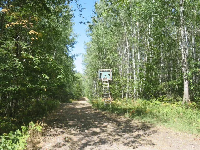 $1,145,000 | 49954 209th Avenue, Clearbrook, MN 56634