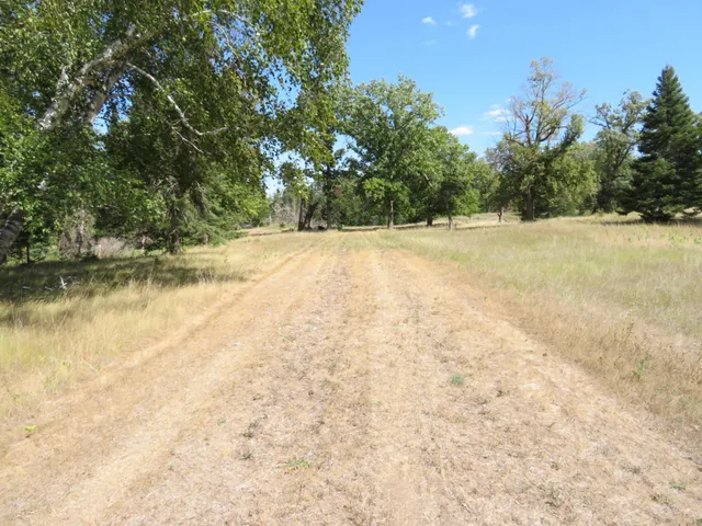 $1,145,000 | 49954 209th Avenue, Clearbrook, MN 56634