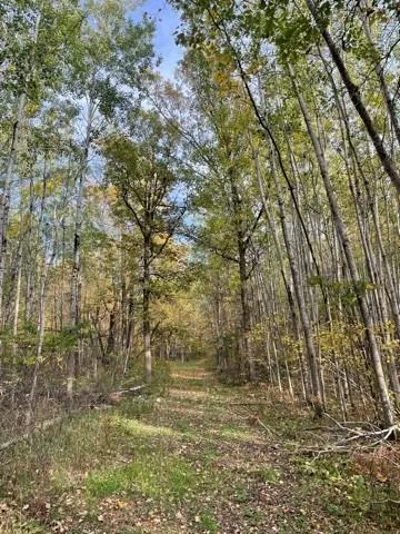 $1,145,000 | 49954 209th Avenue, Clearbrook, MN 56634