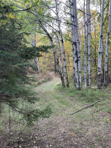 $1,145,000 | 49954 209th Avenue, Clearbrook, MN 56634