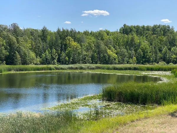 $1,145,000 | 49954 209th Avenue, Clearbrook, MN 56634