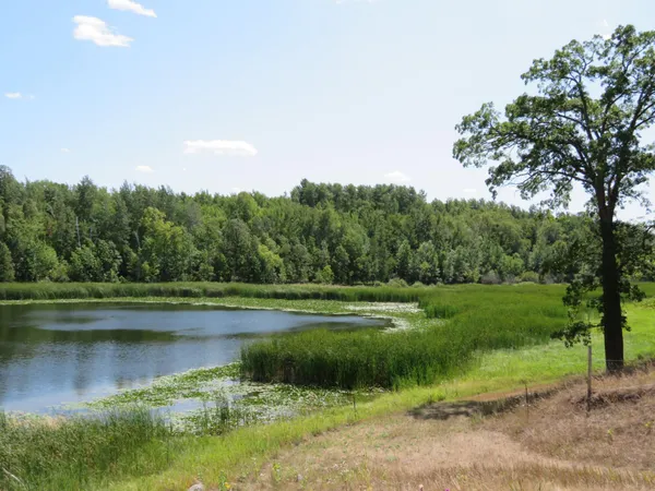 $1,145,000 | 49954 209th Avenue, Clearbrook, MN 56634