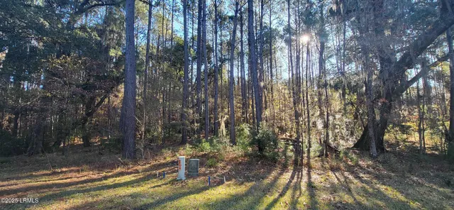 $29,000 | 472 Chicora Lane, Yemassee, SC 29945