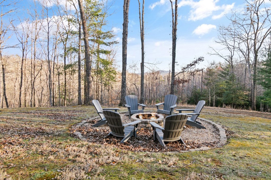 708 Thomas Mountain Road Morganton, GA 30560 - Photo 4 of 50 Gallery Image 4