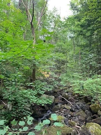 a view of a garden