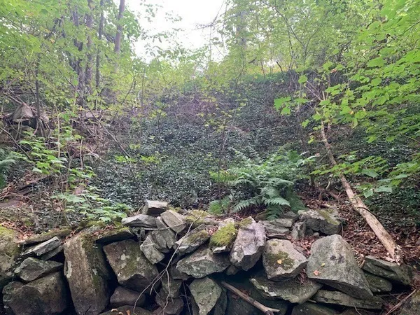 a view of yard from balcony