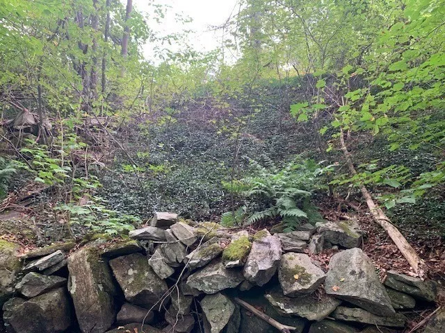 a view of yard from balcony