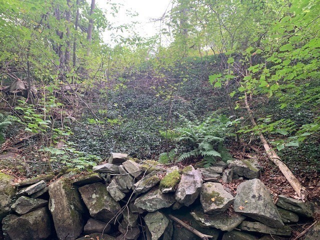 289 Monterey Road Otis, MA 01253 - Photo 14 of 42 a view of yard from balcony